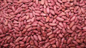 Groundnuts